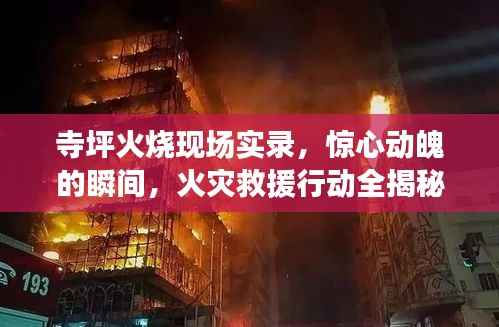 寺坪火烧现场实录,惊心动魄的瞬间,火灾救援行动全揭秘