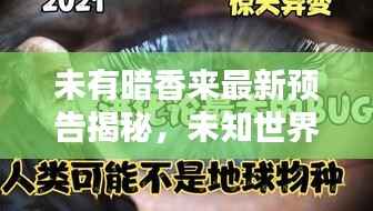 未有暗香来最新预告揭秘,未知世界的神秘面纱即将揭开