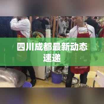 四川成都最新动态速递