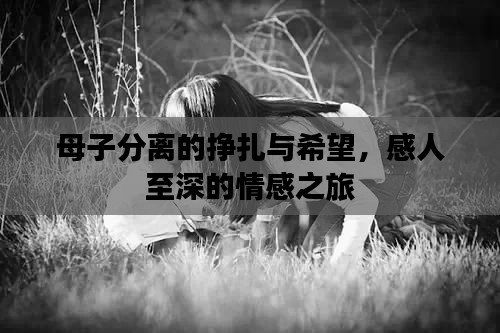 母子分离的挣扎与希望,感人至深的情感之旅