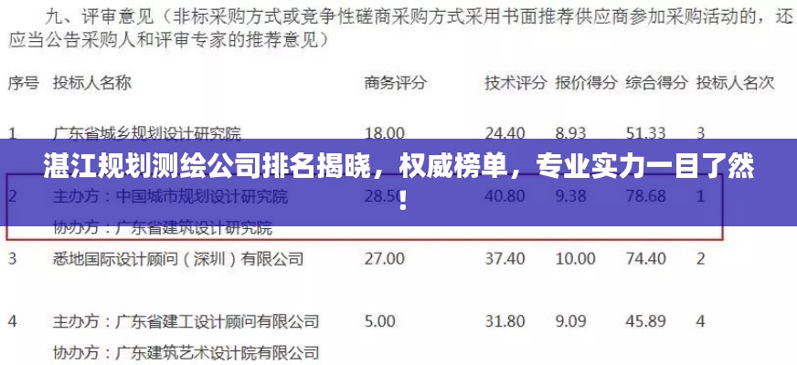 湛江规划测绘公司排名揭晓,权威榜单,专业实力一目了然!