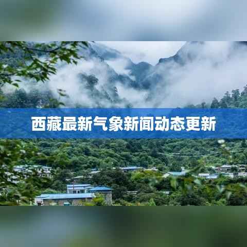 西藏最新气象新闻动态更新