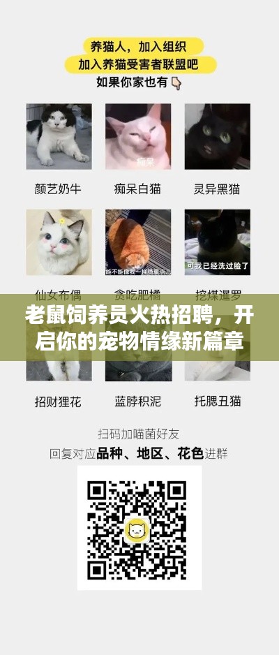 老鼠饲养员火热招聘,开启你的宠物情缘新篇章!