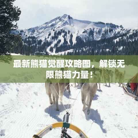 最新熊猫觉醒攻略图,解锁无限熊猫力量!