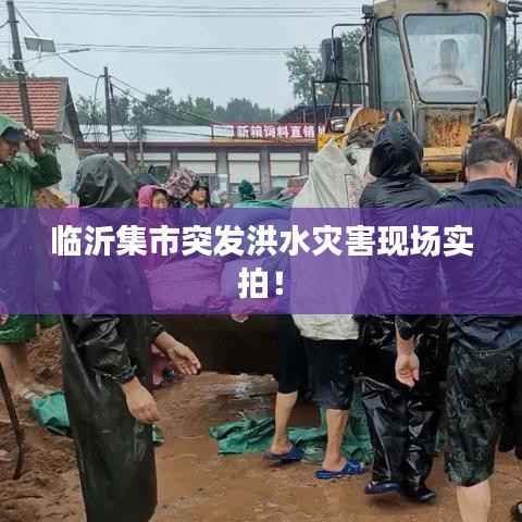 临沂集市突发洪水灾害现场实拍!