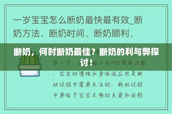 断奶,何时断奶最佳?断奶的利与弊探讨!