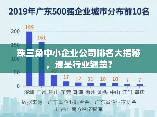 珠三角中小企业公司排名大揭秘,谁是行业翘楚?