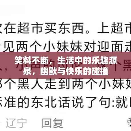 笑料不断,生活中的乐趣源泉,幽默与快乐的碰撞