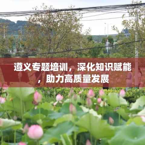 遵义专题培训,深化知识赋能,助力高质量发展