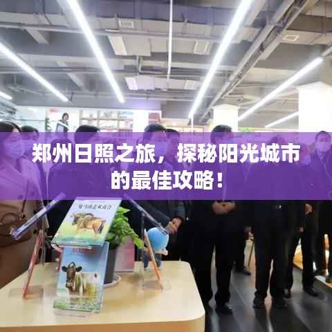 飞箭如蝗 第3页