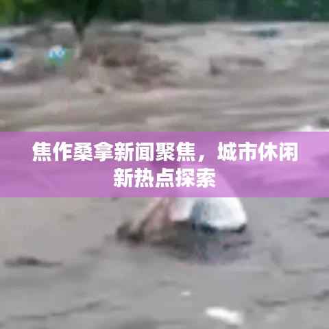 焦作桑拿新闻聚焦,城市休闲新热点探索