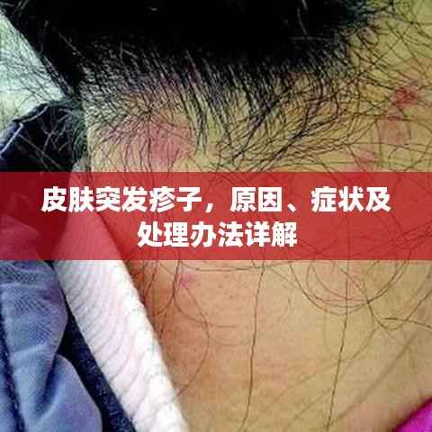 朴素无华 第3页