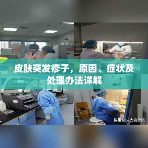 皮肤突发疹子,原因、症状及处理办法详解