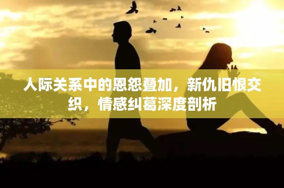 人际关系中的恩怨叠加,新仇旧恨交织,情感纠葛深度剖析