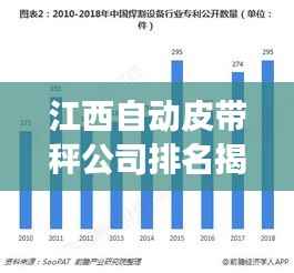 江西自动皮带秤公司排名揭秘,市场分析与趋势展望