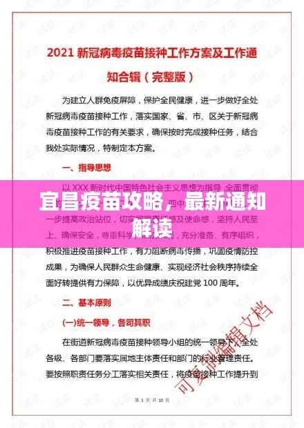 宜昌疫苗攻略,最新通知解读