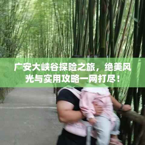 花样新翻 第2页