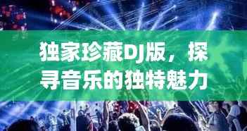 独家珍藏DJ版,探寻音乐的独特魅力与价值宝藏