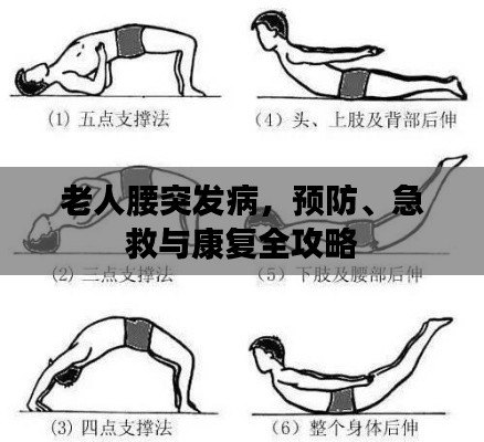 老人腰突发病,预防、急救与康复全攻略