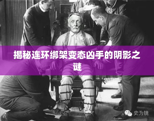 洵属可贵 第2页