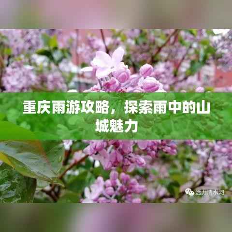 重庆雨游攻略,探索雨中的山城魅力