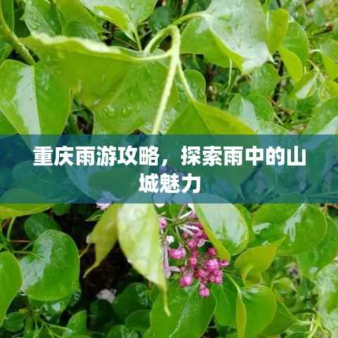 重庆雨游攻略,探索雨中的山城魅力