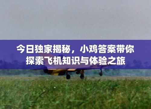 今日独家揭秘,小鸡答案带你探索飞机知识与体验之旅