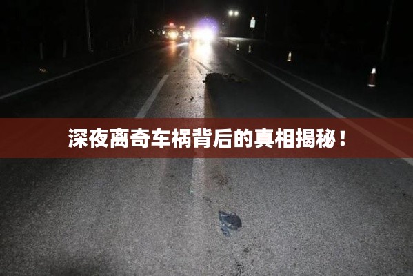 深夜离奇车祸背后的真相揭秘!