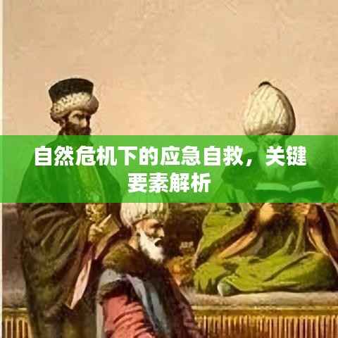 自然危机下的应急自救,关键要素解析