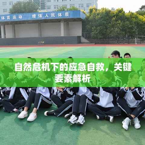 自然危机下的应急自救,关键要素解析