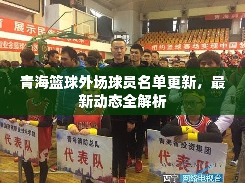 青海篮球外场球员名单更新,最新动态全解析