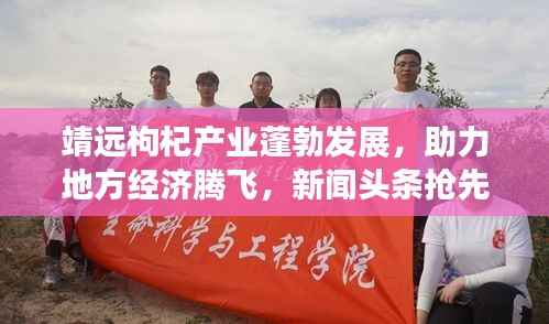 靖远枸杞产业蓬勃发展,助力地方经济腾飞,新闻头条抢先看!