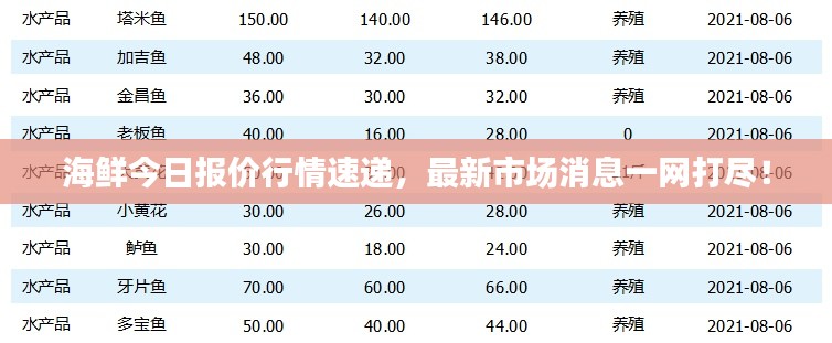 海鲜今日报价行情速递,最新市场消息一网打尽!