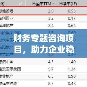财务专题咨询项目,助力企业稳健发展的核心引擎