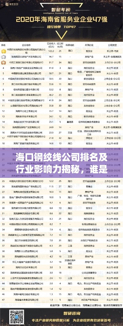 海口钢绞线公司排名及行业影响力揭秘,谁是领跑者?