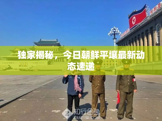独家揭秘,今日朝鲜平壤最新动态速递