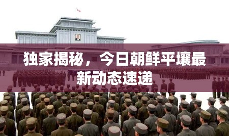 独家揭秘,今日朝鲜平壤最新动态速递