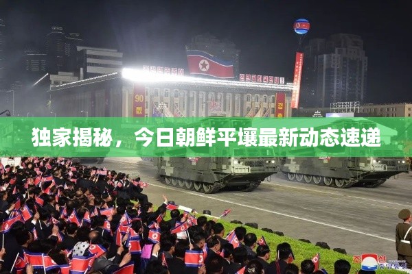 独家揭秘,今日朝鲜平壤最新动态速递