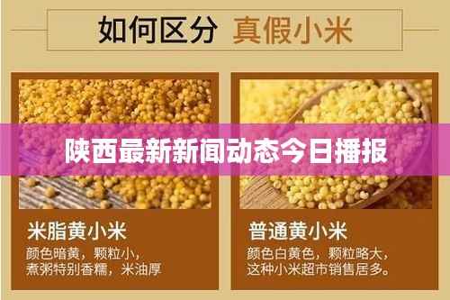 陕西最新新闻动态今日播报