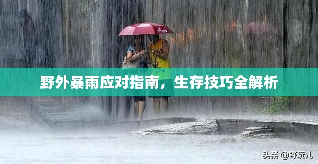 野外暴雨应对指南,生存技巧全解析