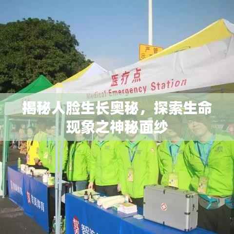 天荒地老 第3页