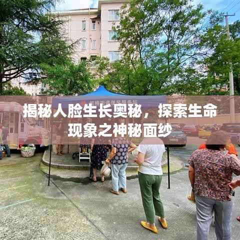 揭秘人脸生长奥秘,探索生命现象之神秘面纱