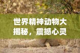 世界精神动物大揭秘,震撼心灵的精神力量排名榜单!