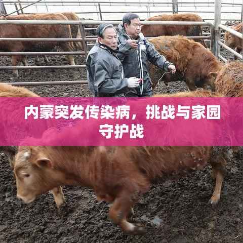 内蒙突发传染病,挑战与家园守护战