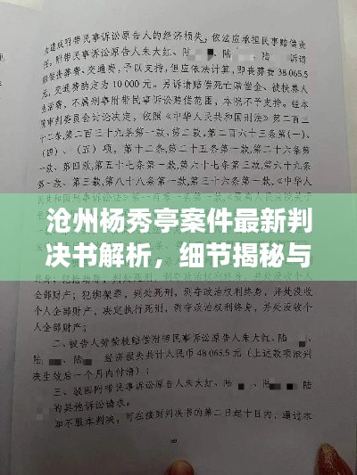 沧州杨秀亭案件最新判决书解析,细节揭秘与深度解读
