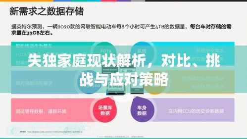 失独家庭现状解析,对比、挑战与应对策略