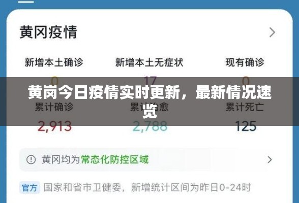 黄岗今日疫情实时更新,最新情况速览