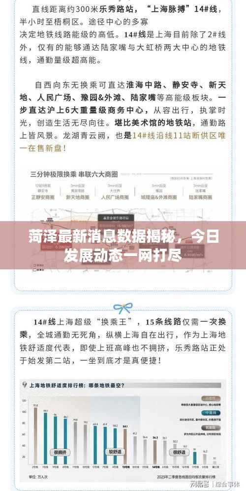 菏泽最新消息数据揭秘,今日发展动态一网打尽