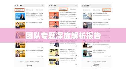 团队专题深度解析报告