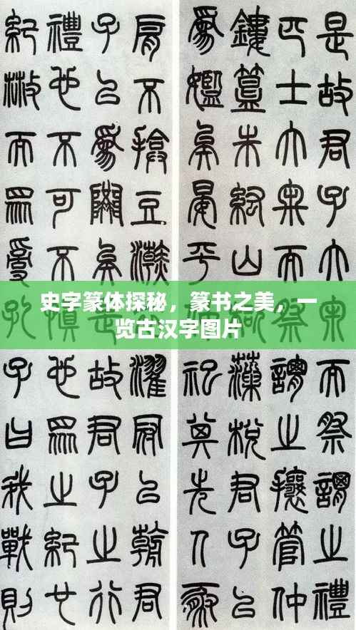 史字篆体探秘,篆书之美,一览古汉字图片